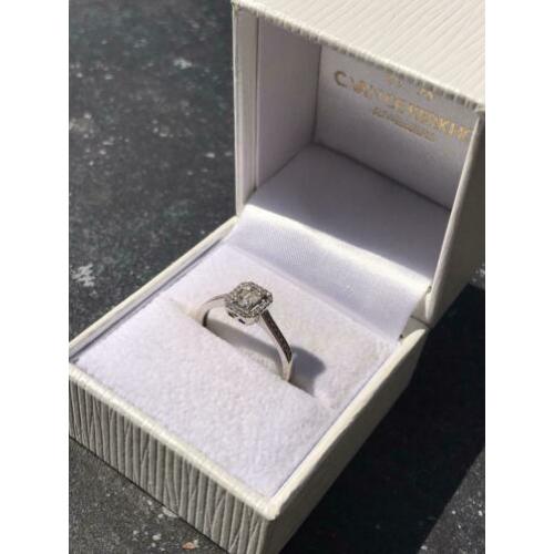 14 Krt. Witgouden Entourage ring met diamanten