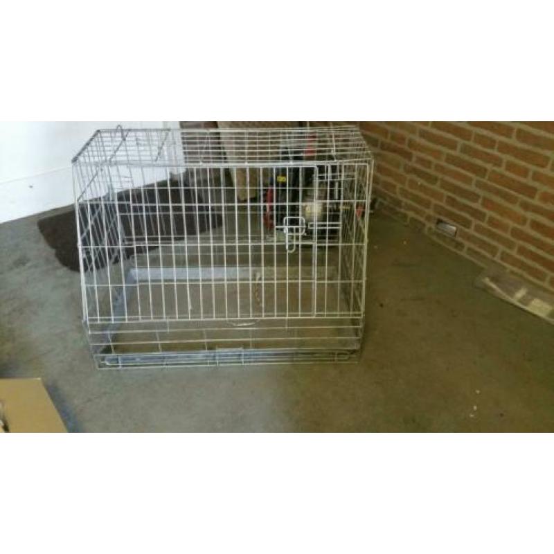 autobenz voor hond