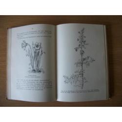 In de Duinen 4e dr - E. Heimans & Jac. P. Thijsse