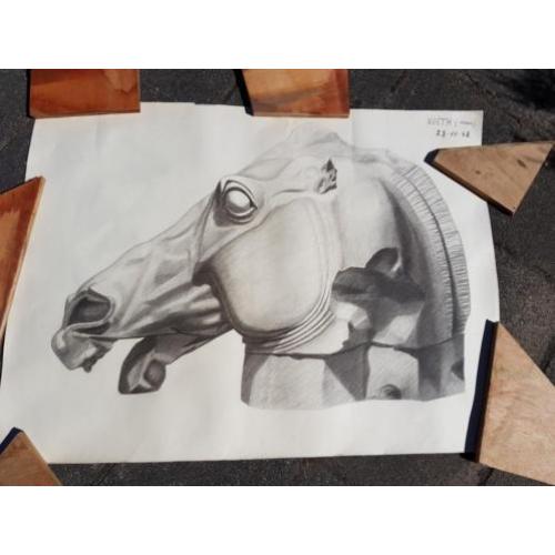 Potlood tekening paardenhoofd - gesigneerd Noëth 23-11-48