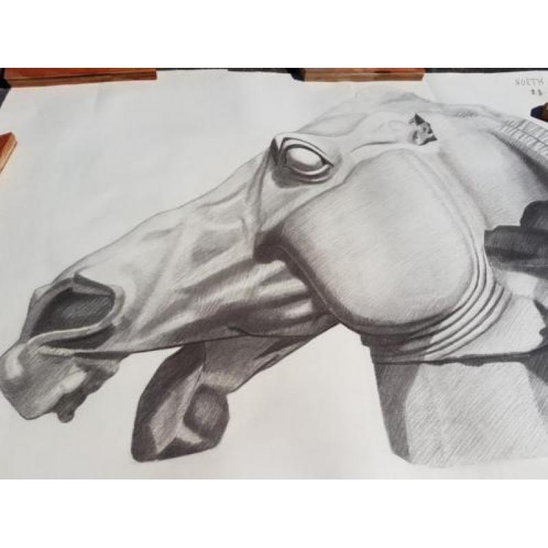 Potlood tekening paardenhoofd - gesigneerd Noëth 23-11-48