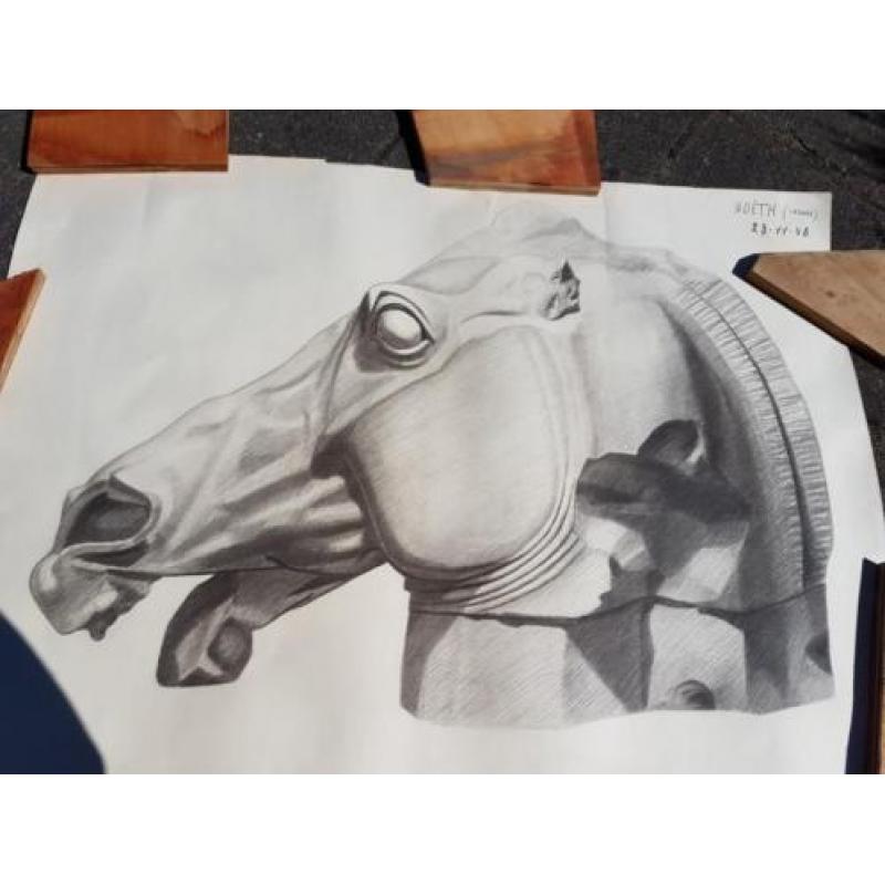 Potlood tekening paardenhoofd - gesigneerd Noëth 23-11-48