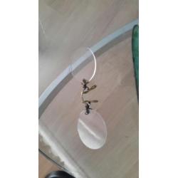 te koop antieke bril zie foto.s