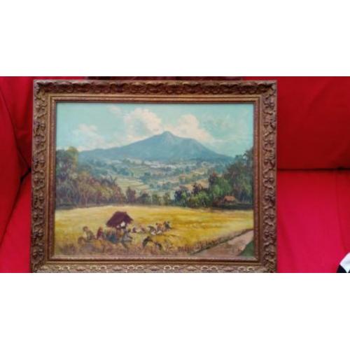 Amang Rachma landschap