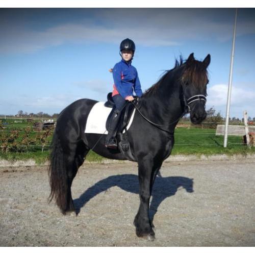 Super lieve mooie friese ruin te koop.