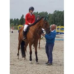 8-jarige BWP recreatiepaard of fokmerrie