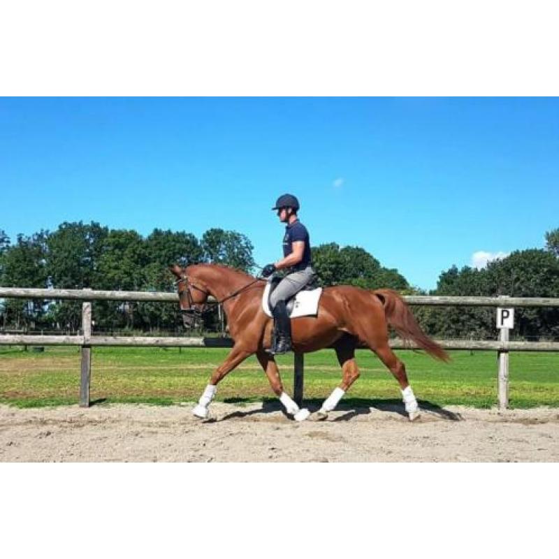 5 jarige ruin