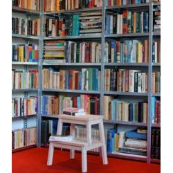 Boekenkast bij Stellingkast.nl met industriële uitstraling